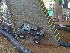 RC Jeeps